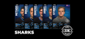 SHARKS (ALB24)